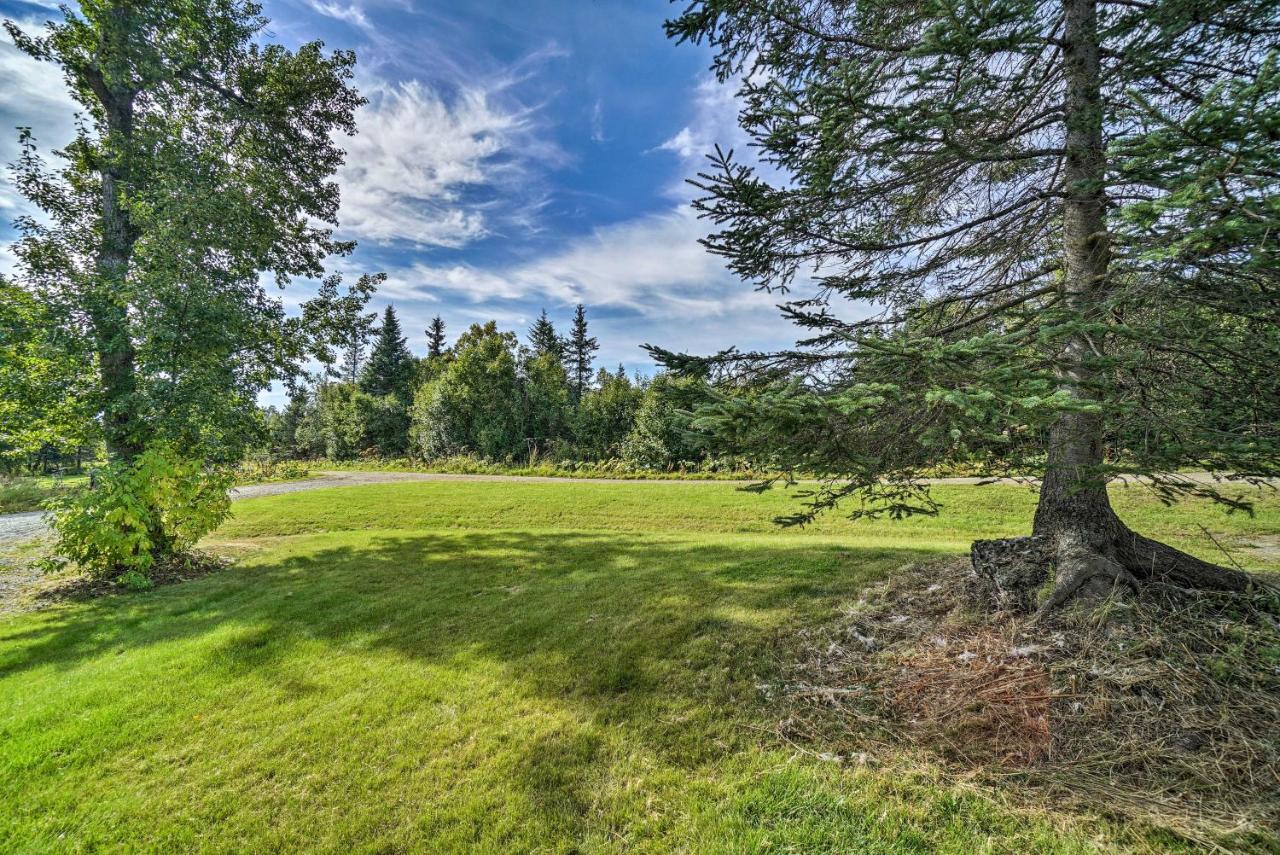 Homer Hideaway on Fritz Creekside - Pets Welcome Buitenkant foto